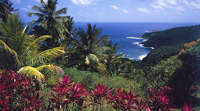 dominica scenery